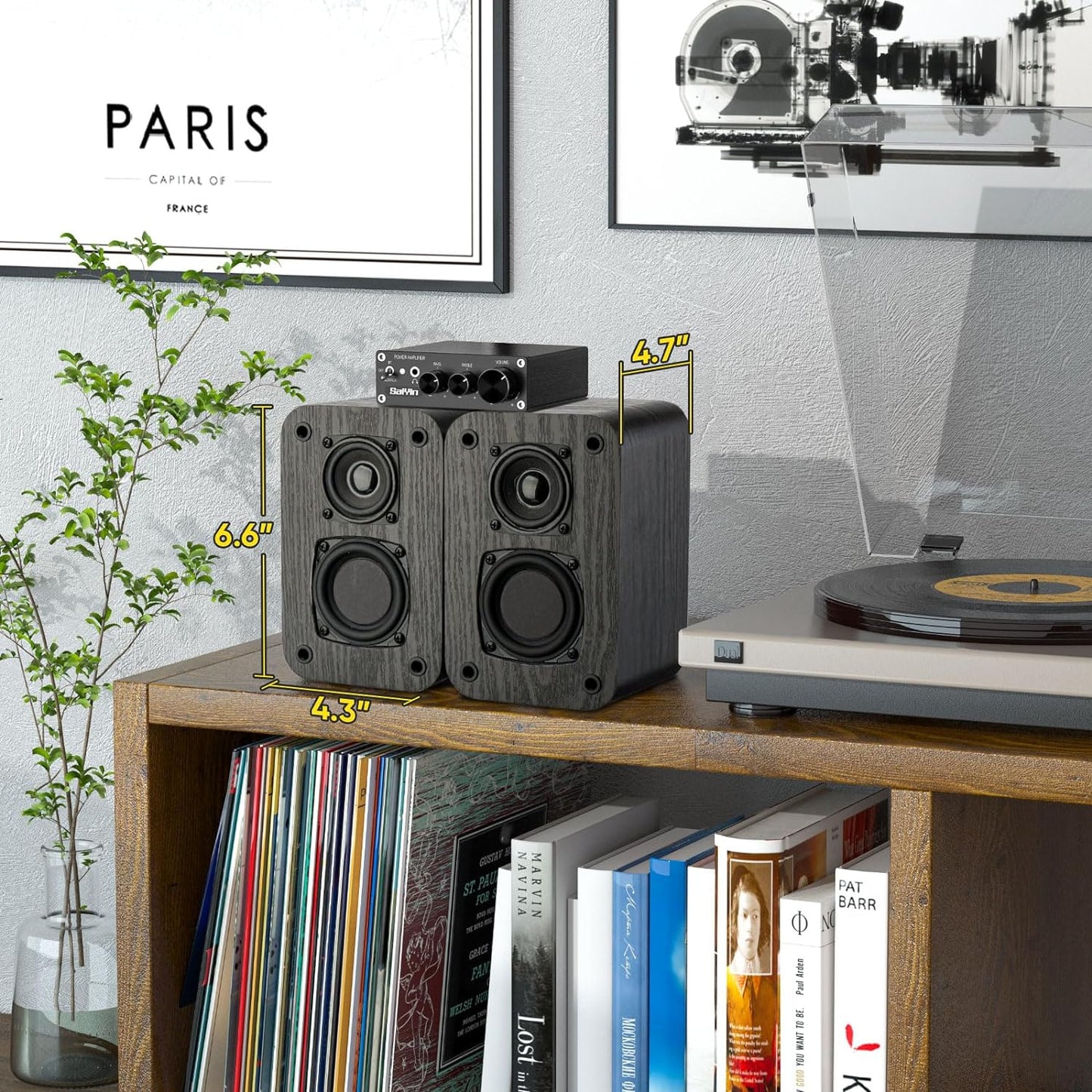 Passive Bookshelf Speakers for Home Theater Surround Sound, Home Desktop Stereo
